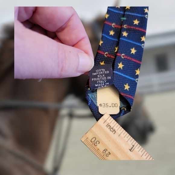 VINTAGE Tommy Hilfiger Men's Horse Shoe Equestrian Show 100% Silk Necktie - Picture 6 of 7